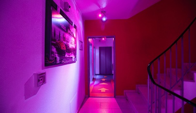 Sechsex Inn Bordellbetrieb - Brothel in Karlsruhe, Germany