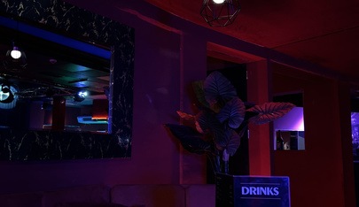 Rheingold Nightclub, Cabaret, Tabledance - Karlsruhe - Nightclub in Karlsruhe, Germany