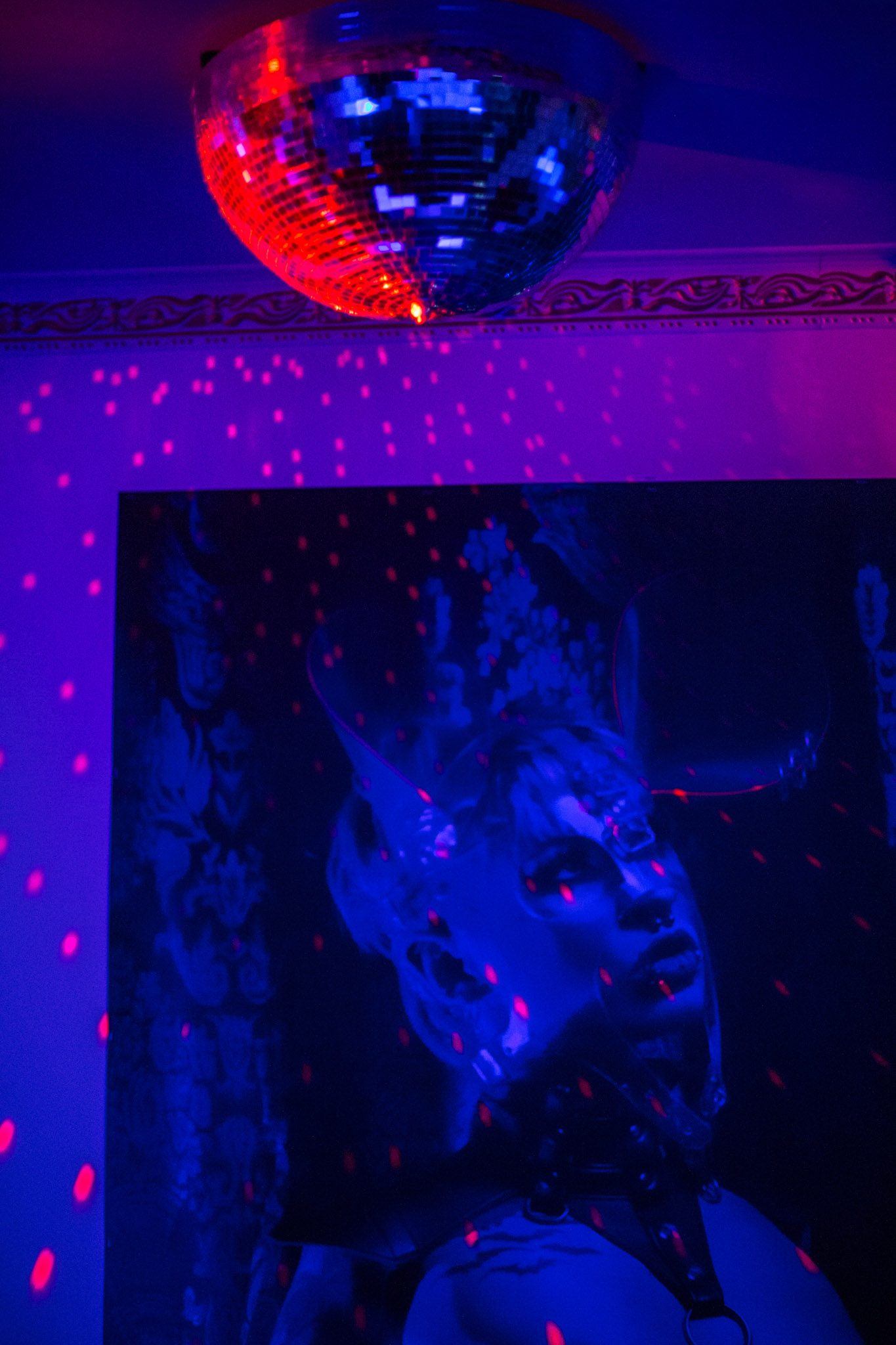 KÄTz | Lifestyle & Danceclub | Drinks & Food I Sauna & Pools - Nightclub in Leipzig, Germany