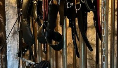 Secret Lions - Swinger Club in Lingen, Germany