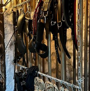 Secret Lions - Swinger Club in Lingen, Germany
