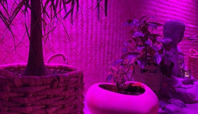 Relax Massage & Wellness Mainz - Erotic Massage in Mainz, Germany