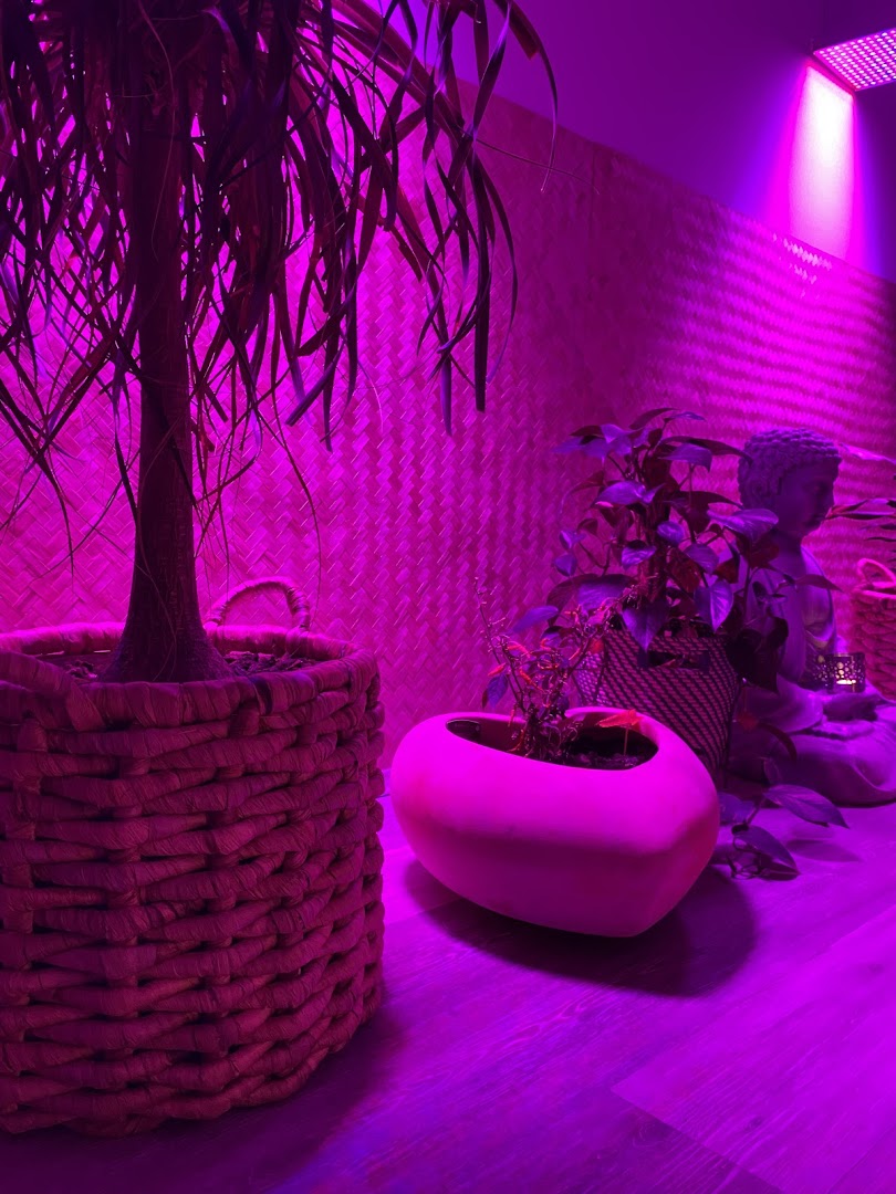 Relax Massage & Wellness Mainz - Erotic Massage in Mainz, Germany