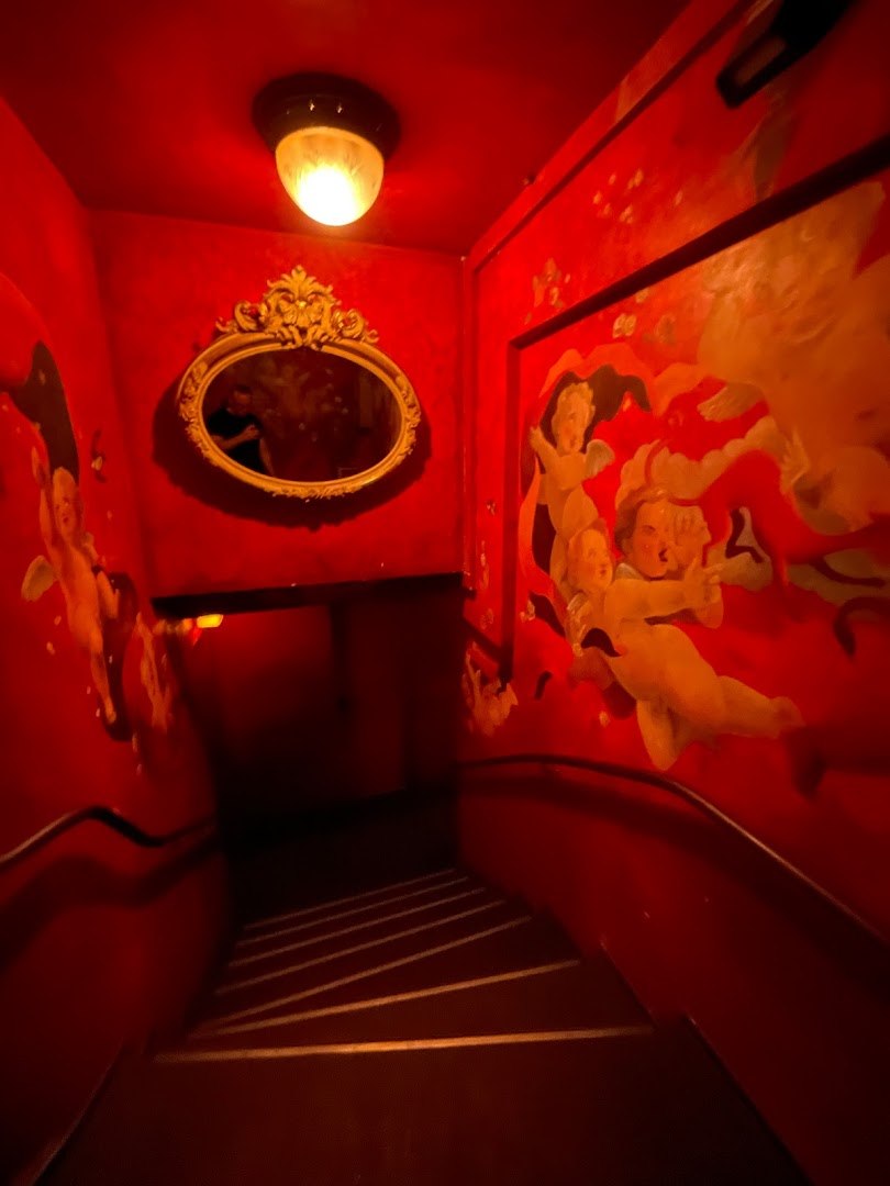 Red Cat - Nightclub in Mainz, Germany