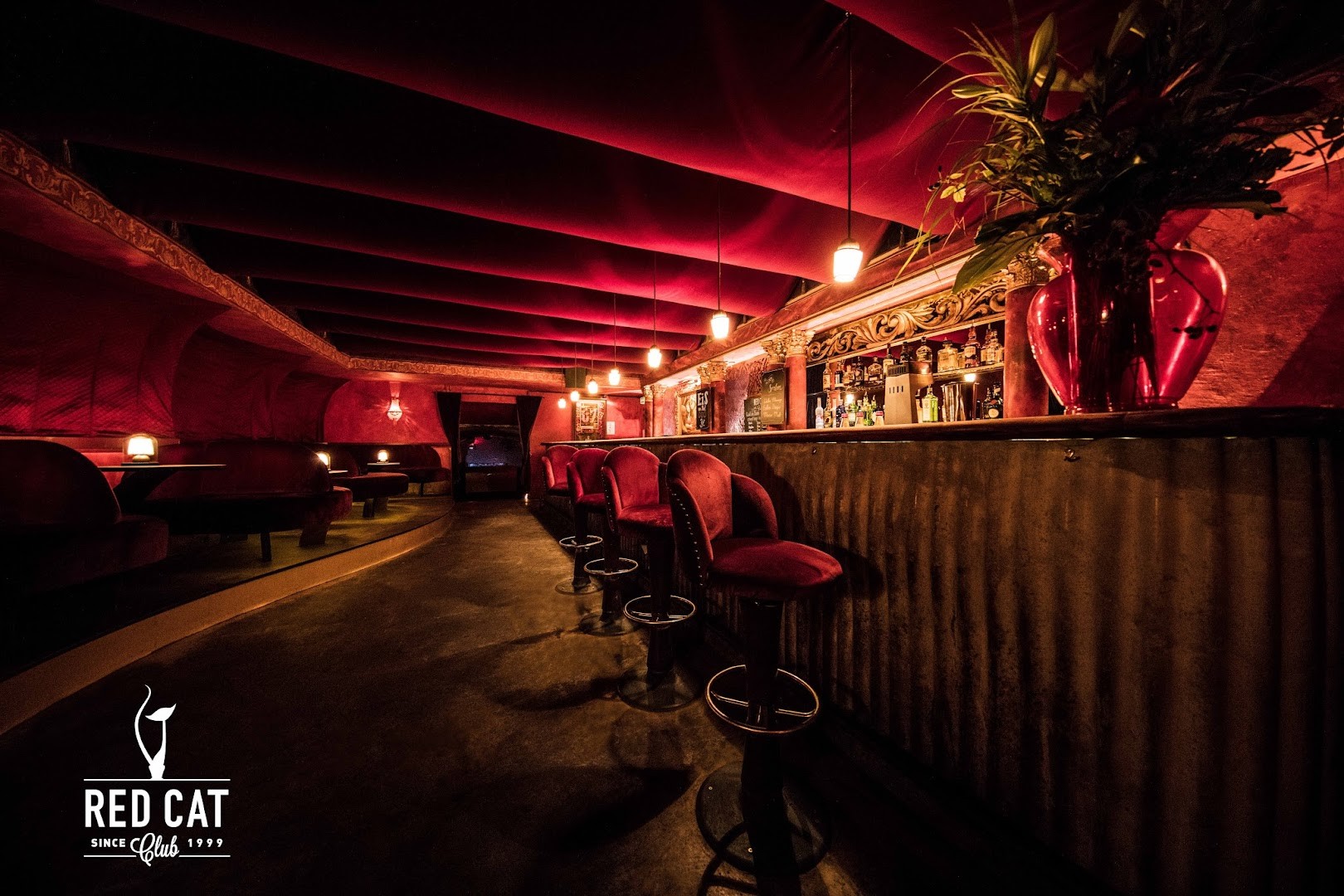 Red Cat - Nightclub in Mainz, Germany