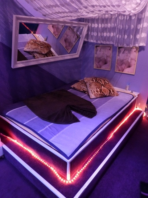 Blue Velvet Haus 9 - Brothel in Mannheim, Germany