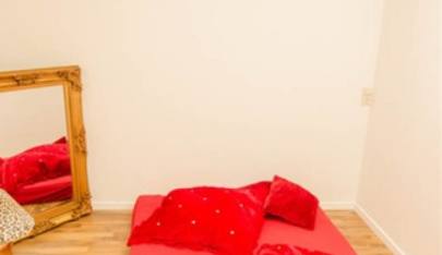 Wellness Oase Mannheim - Exclusive Erotic Massage Salon - Erotic Massage in Mannheim, Germany