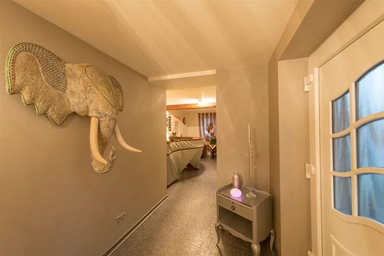Die Insel Massagestudio - Erotic Massage in Meudt, Germany
