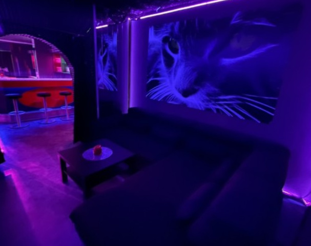 Cats 2.0 Swingerclub - Swinger Club in Munich, Germany