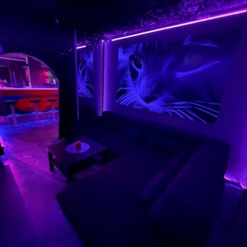Cats 2.0 Swingerclub - Swinger Club in Munich, Germany