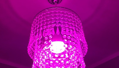 Secret Dreams - Erotic Massage in Offenburg, Germany