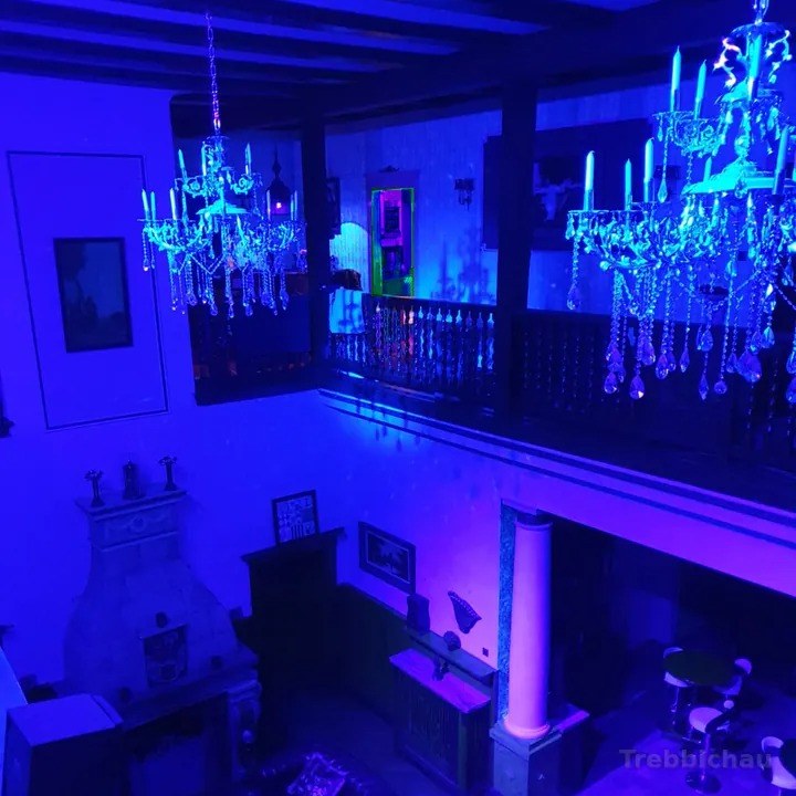 Schloss Trebbichau - Chateau Du Soleil - Swinger Club in Osternienburger Land, Germany