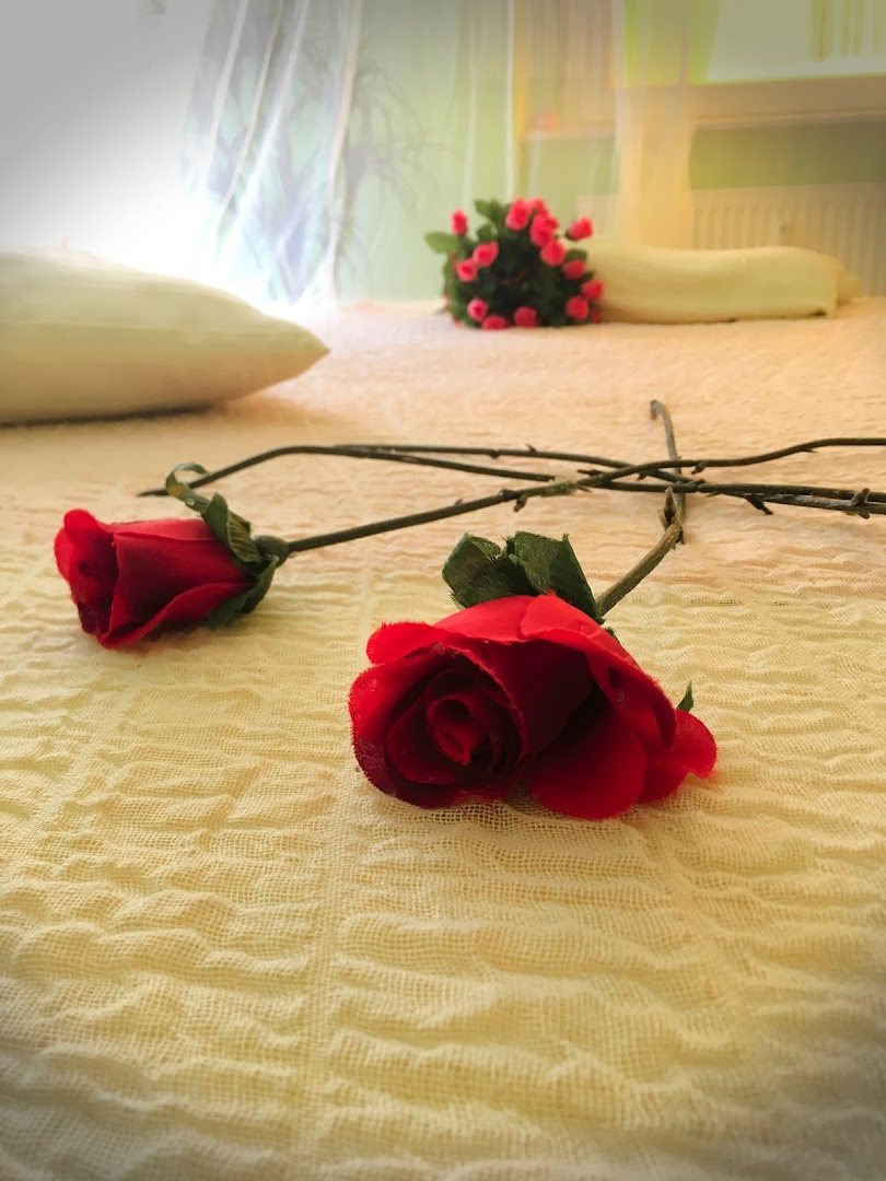Massagelounge Magma - Erotic Massage in Plauen, Germany