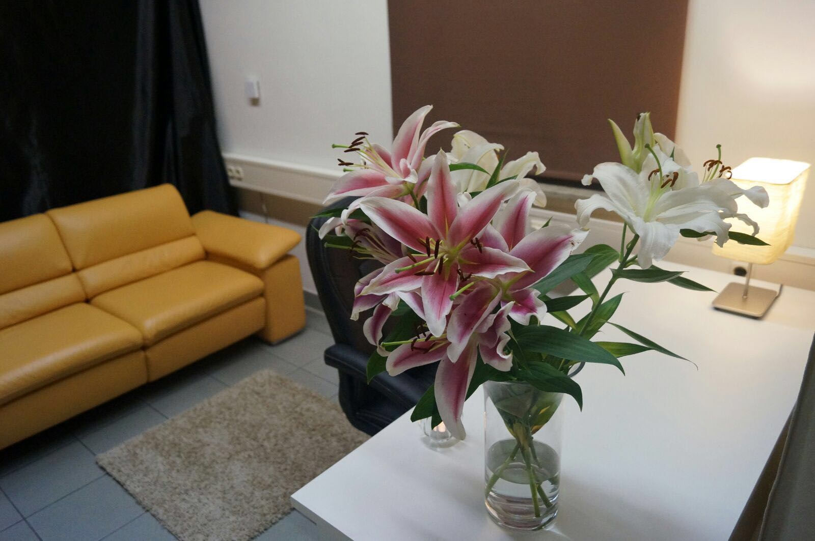 Tantra Massage Deluxe Regensburg - Erotic Massage in Regensburg, Germany
