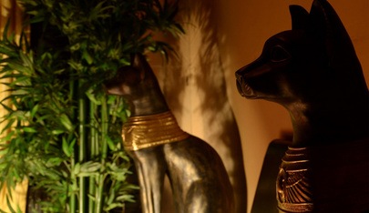 Swingerclub Angel Of Love - Swinger Club in Roth, Germany