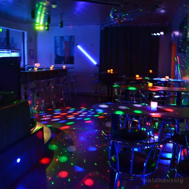 Swingerclub Waldhaus - Swinger Club in Sigmaringen, Germany