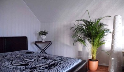 Salon D'Amour - Brothel in Speyer, Germany