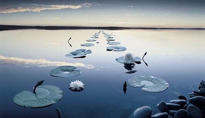 The Awakening Of The Senses -  in , 