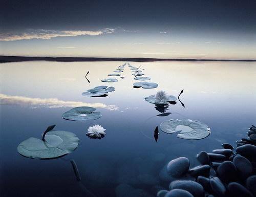 The Awakening Of The Senses -  in , 