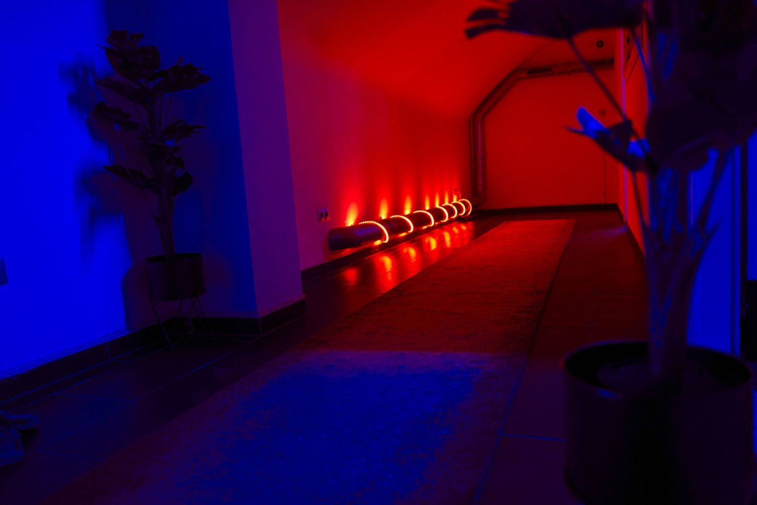 Allure Health Studio - Erotic Massage in Budapest, Hungary