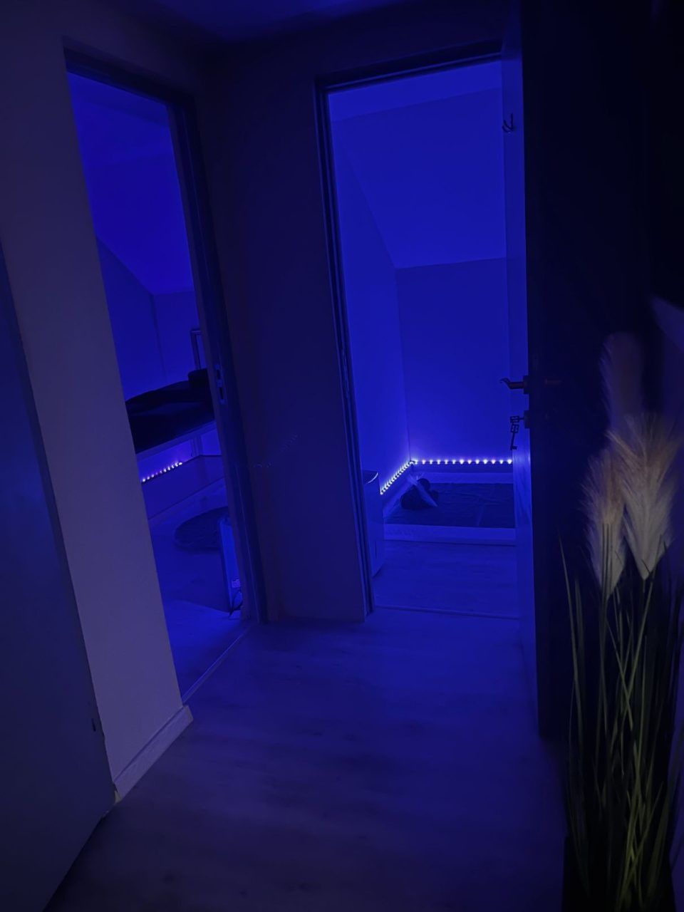 Euphoria Massage - Erotic Massage in Budapest, Hungary