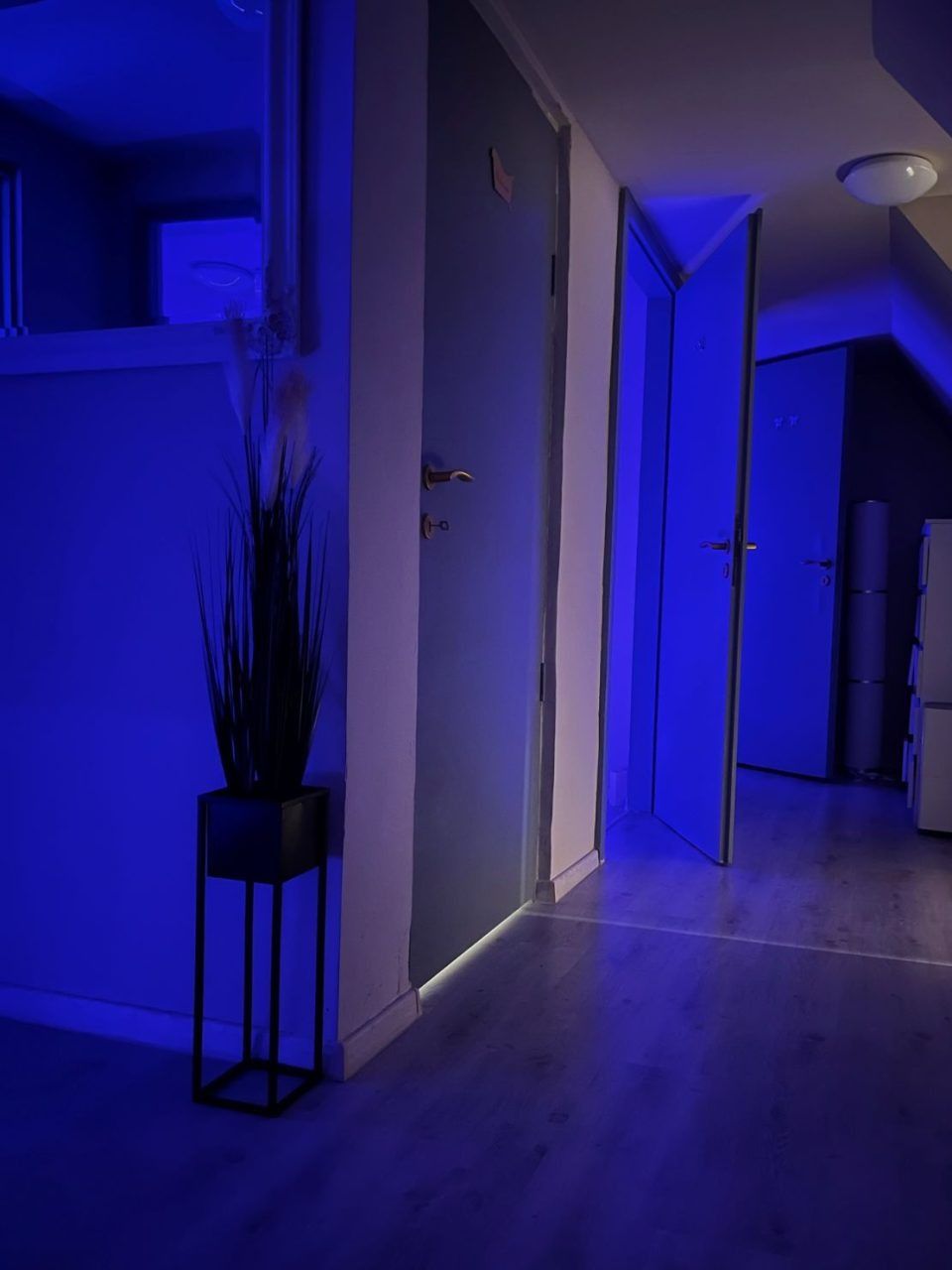 Euphoria Massage - Erotic Massage in Budapest, Hungary