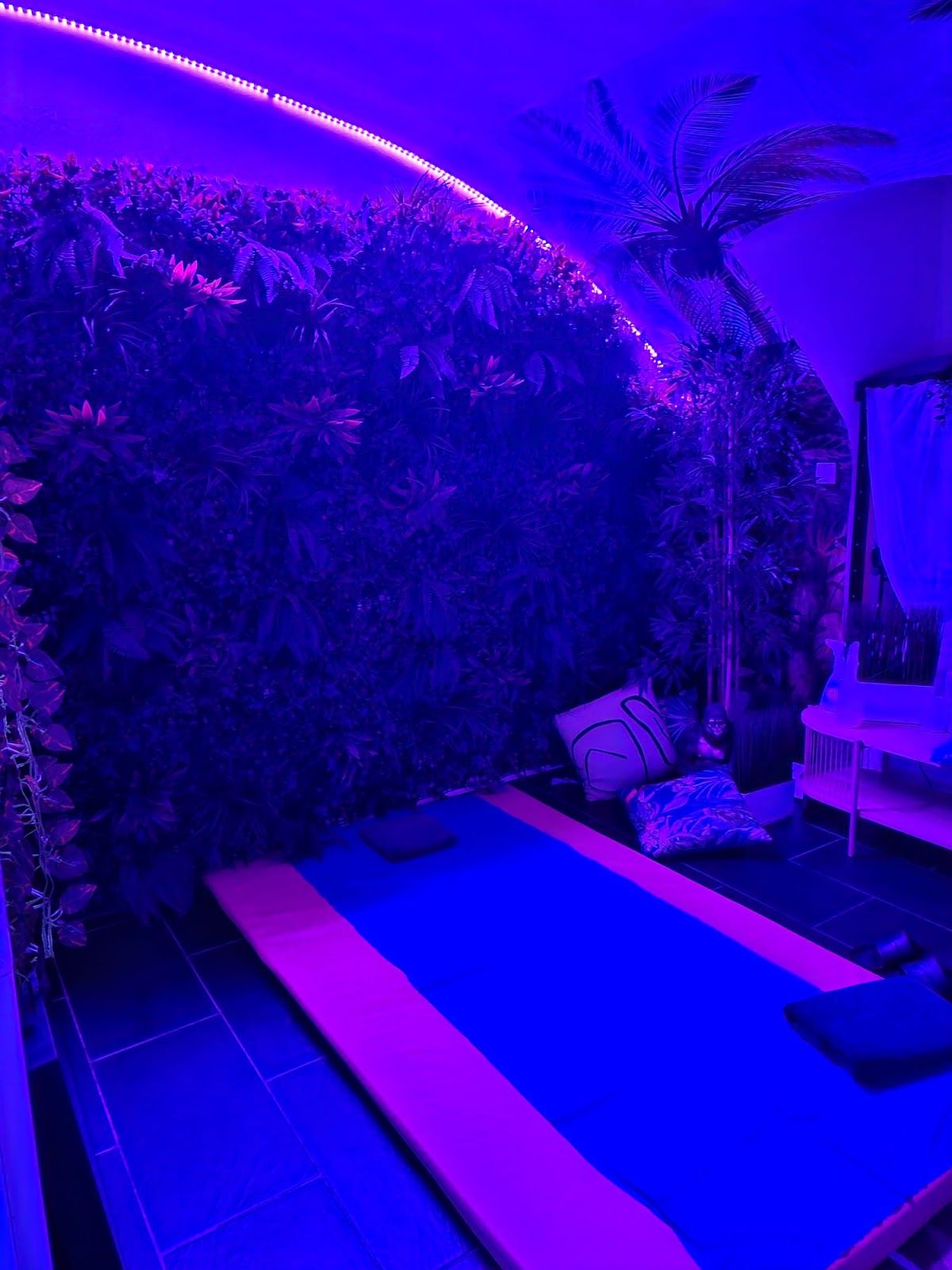 Pesti Massage - Erotic Massage in Budapest, Hungary