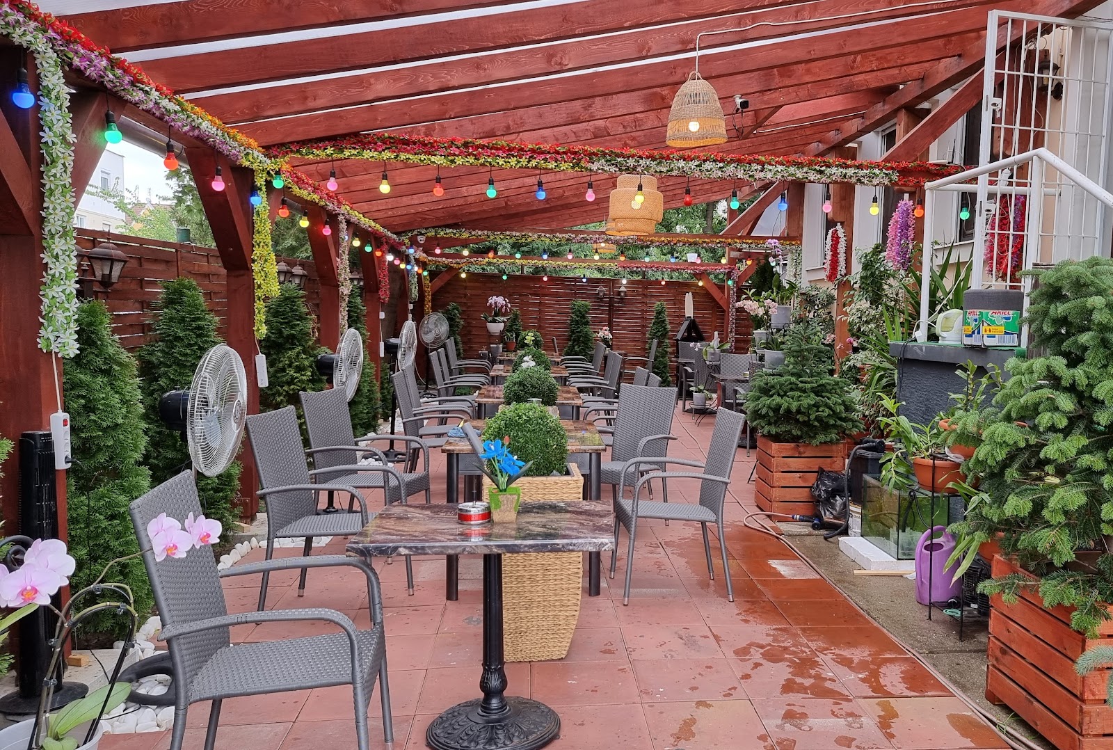 Belami Night Club & Pension - Nightclub in Budapest, Hungary