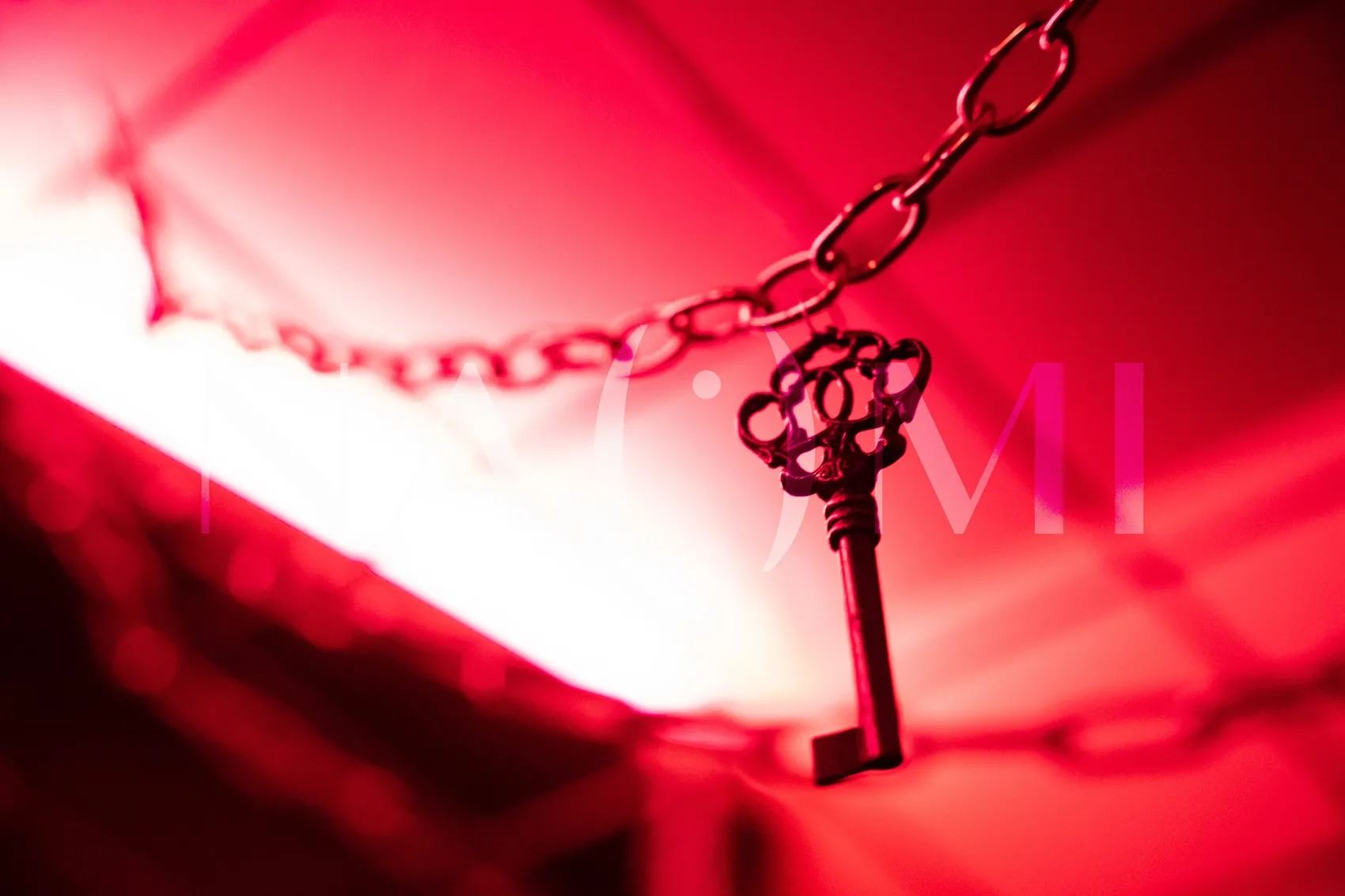Naomi Club For Gentlemen - Nightclub in Budapest, Hungary