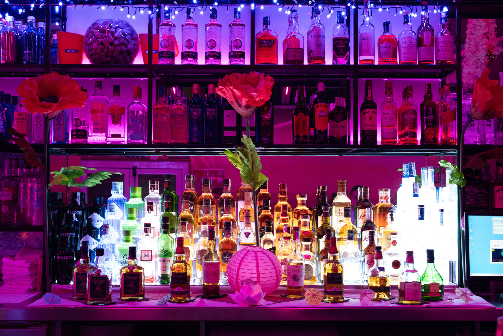 Club Paradise  - Swinger Club in Szigetszentmiklos, Hungary