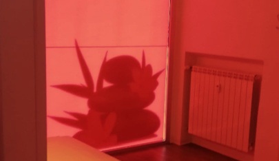 Centro Massaggi Benessere Linus - Erotic Massage in Brescia, Italy