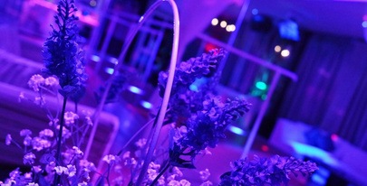 Cenerentola Club Drink & More - Nightclub in Fara Vicentino, Italy