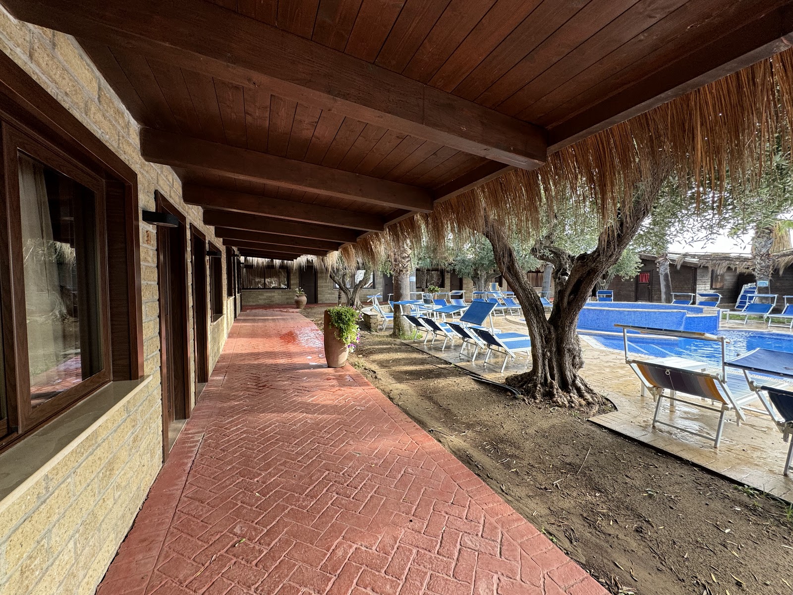 Olimpo Club - Swinger Club in Ladispoli, Italy