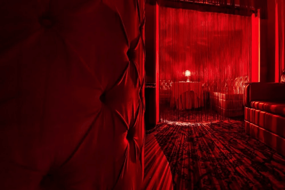 Venus Milano Centro - Luxury Strip Night Club / Vip Area Privé - Location Eventi - Nightclub in Milano, Italy