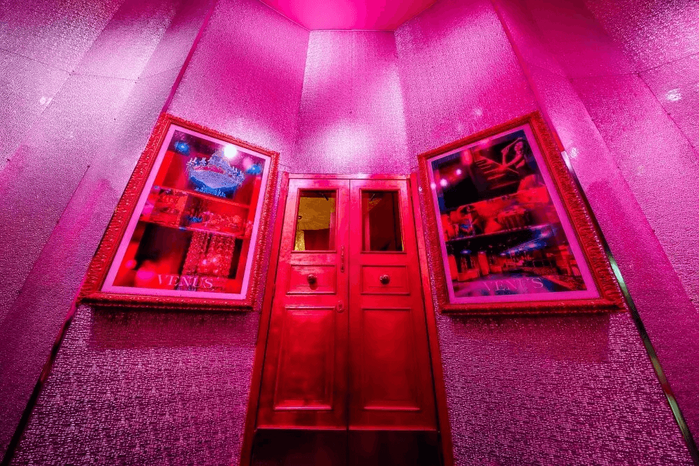 Venus Milano Centro - Luxury Strip Night Club / Vip Area Privé - Location Eventi - Nightclub in Milano, Italy