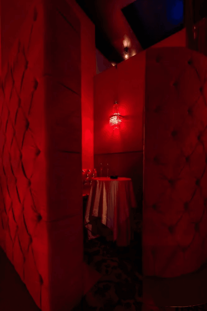 Venus Milano Centro - Luxury Strip Night Club / Vip Area Privé - Location Eventi - Nightclub in Milano, Italy