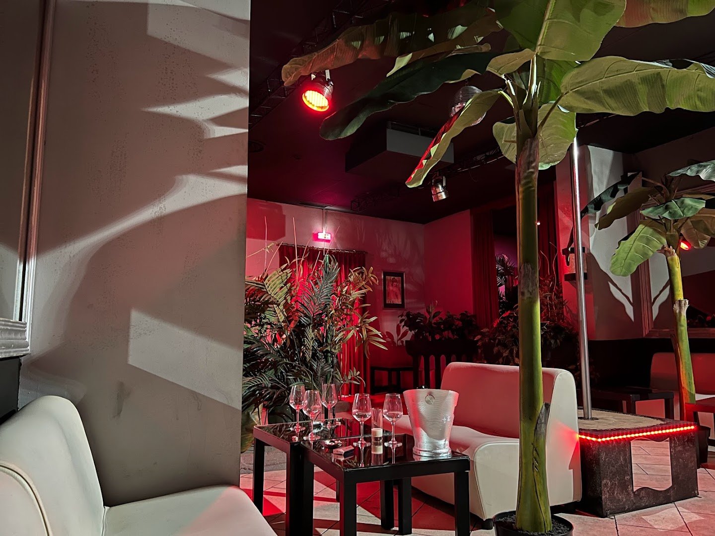 * Scorpion Club * L'unico Vero Night Club Di Pavia - Nightclub in Pavia, Italy