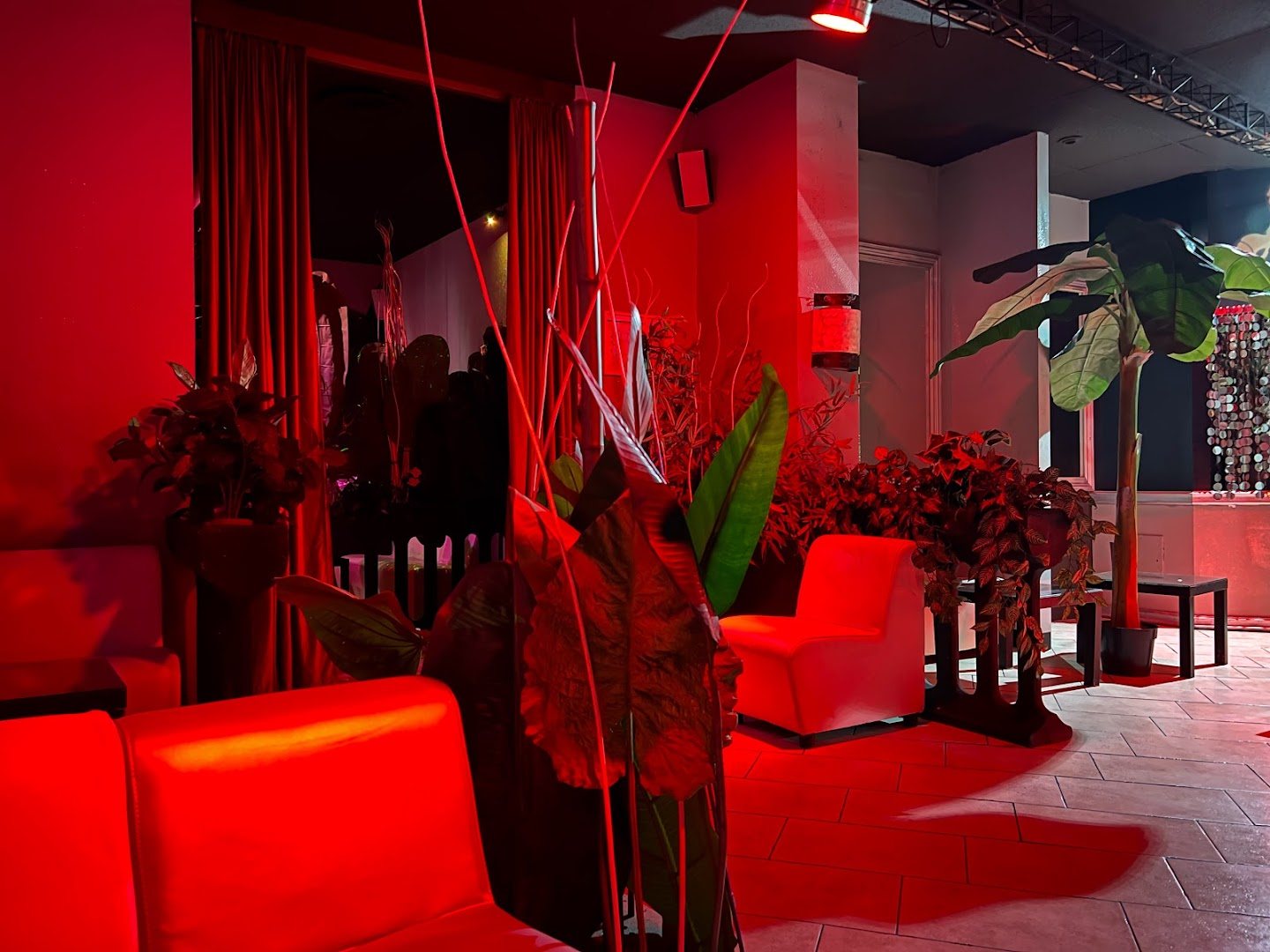 * Scorpion Club * L'unico Vero Night Club Di Pavia - Nightclub in Pavia, Italy