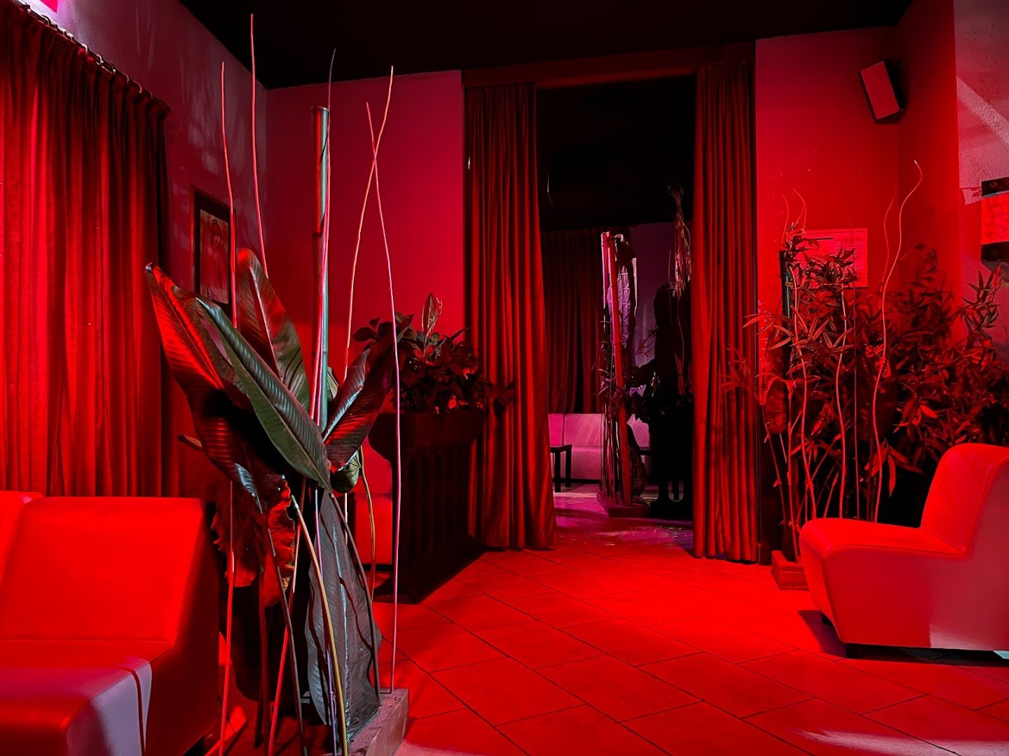 * Scorpion Club * L'unico Vero Night Club Di Pavia - Nightclub in Pavia, Italy