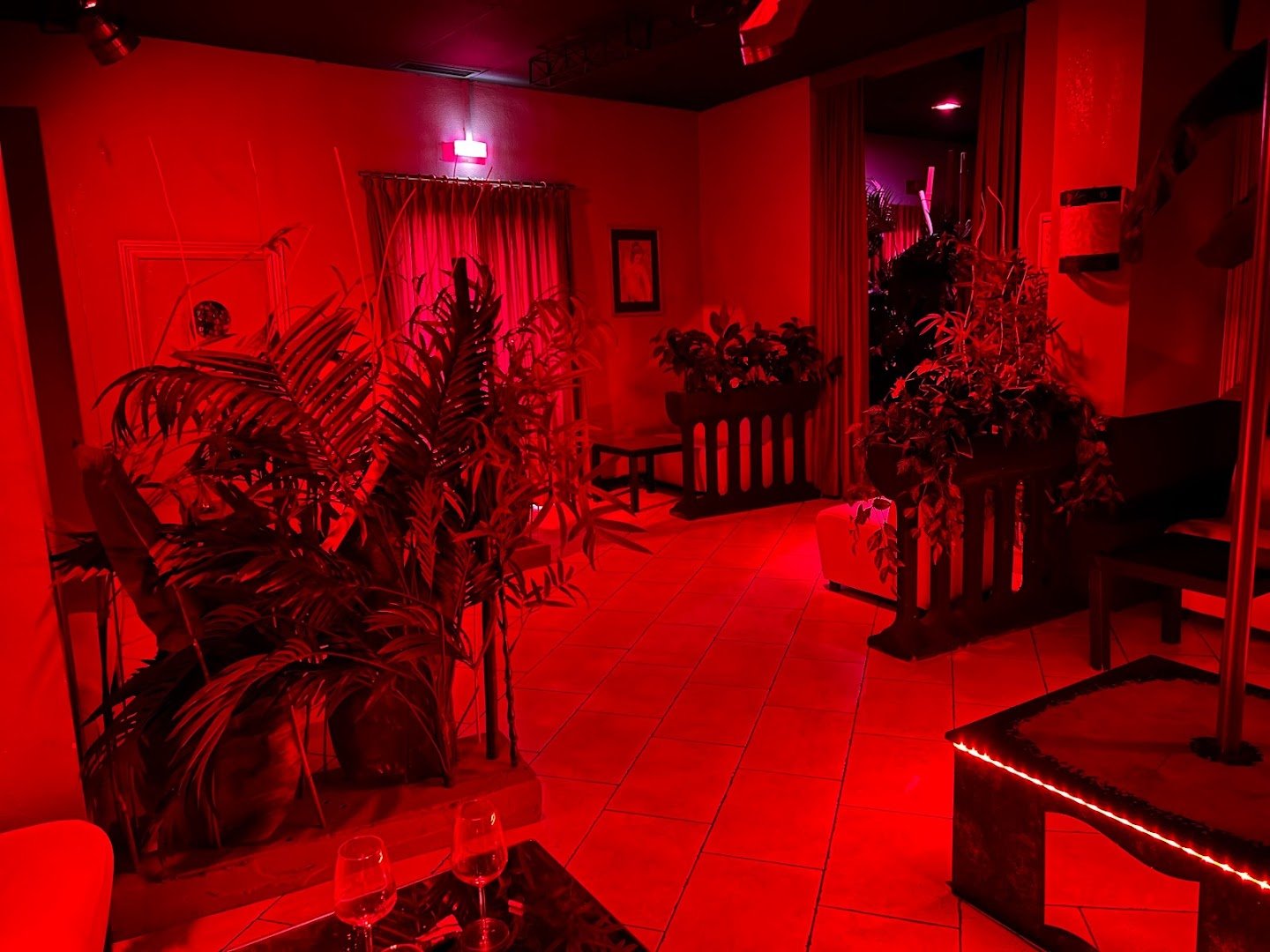 * Scorpion Club * L'unico Vero Night Club Di Pavia - Nightclub in Pavia, Italy