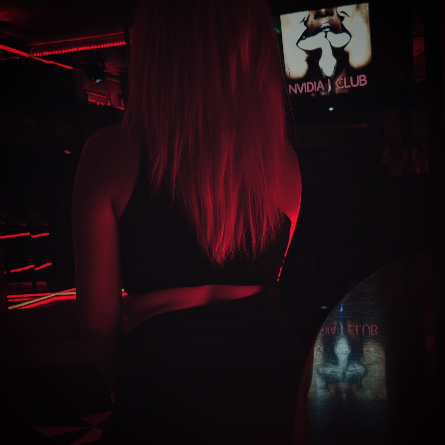 Nvidia Club - Nightclub in Pieve Albignola, Italy