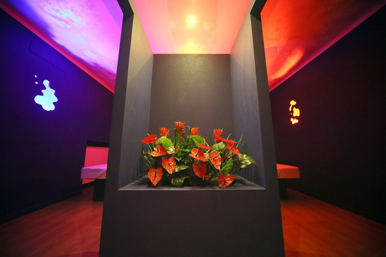 Red Moon Night Club - Nightclub in Vedano Al Lambro, Italy
