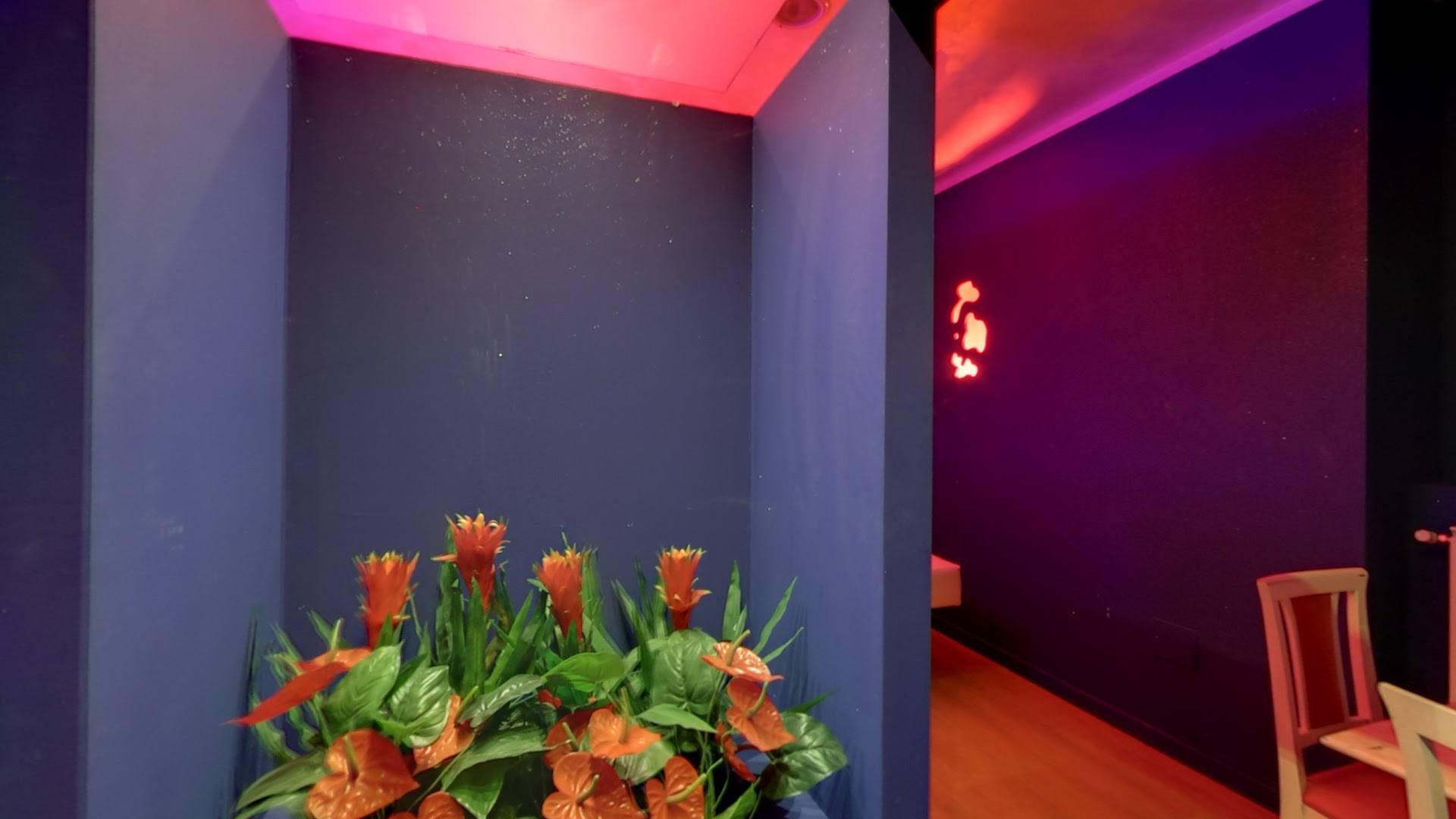 Red Moon Night Club - Nightclub in Vedano Al Lambro, Italy