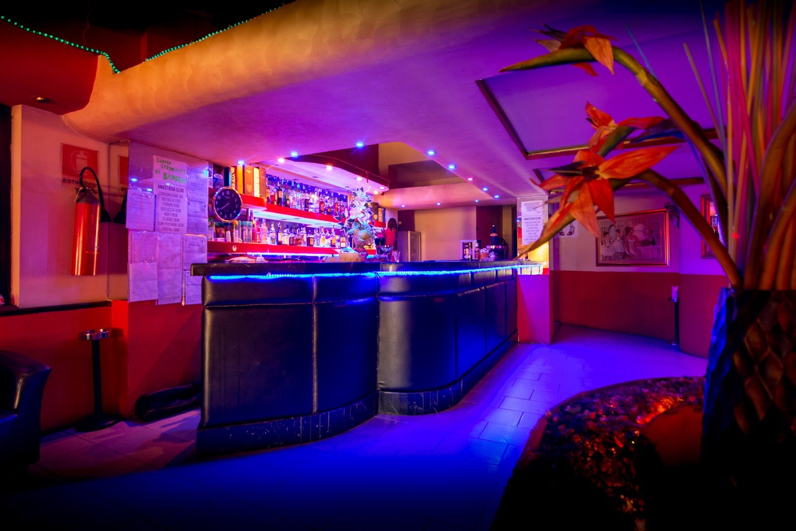 New Anastasia Night Club - Nightclub in Vinzaglio, Italy