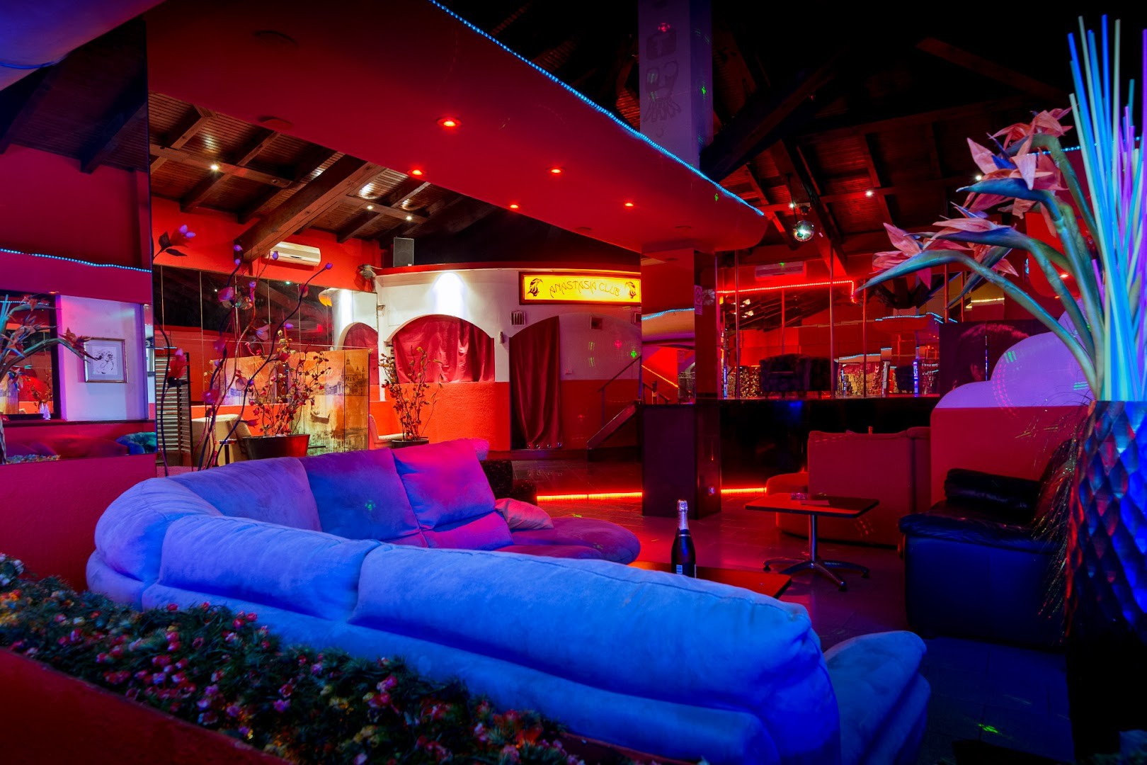 New Anastasia Night Club - Nightclub in Vinzaglio, Italy