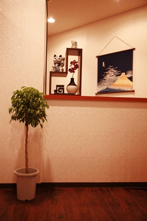 Cocoro - Erotic Massage in Fuch Shi, Japan