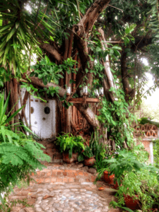 Touch Experience - Tantric Massages - Erotic Massage in Puerto Vallarta, Mexico