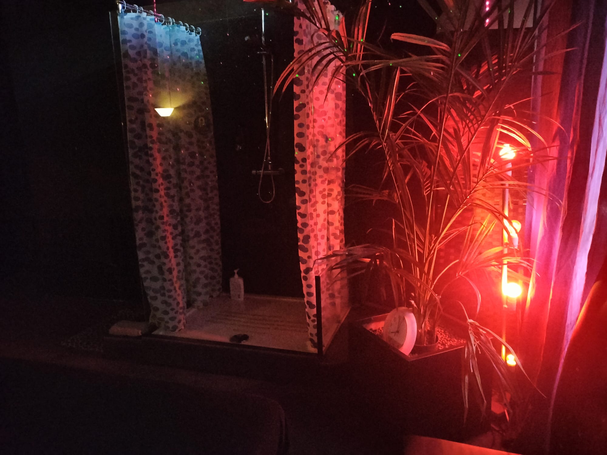 Erotische Massage Studio Monaco - Erotic Massage in Amstelveen, Netherlands