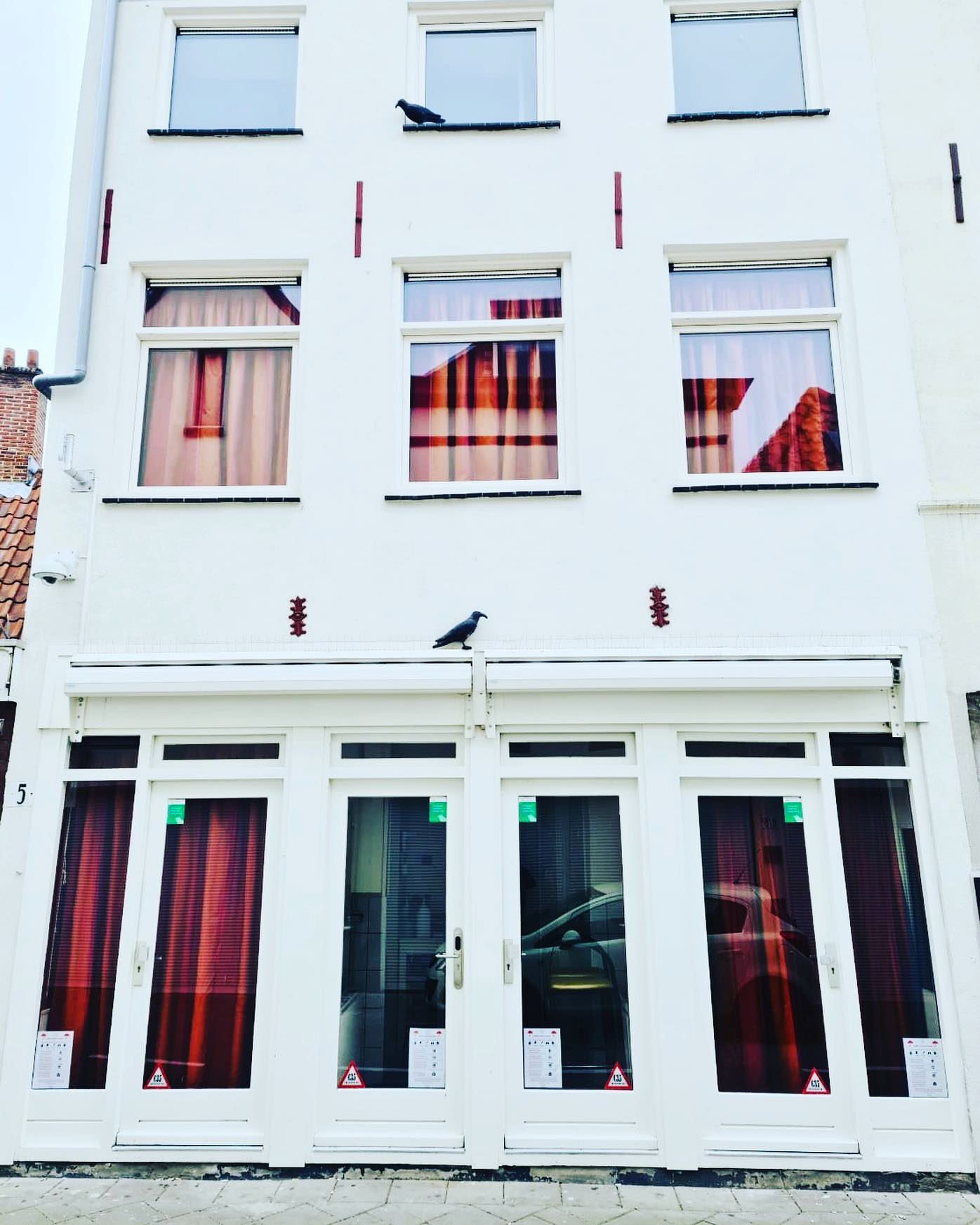 Joyce Kamerverhuur - Brothel in Den Haag, Netherlands