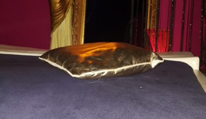 Body Sun Massage Salon - Erotic Massage in Deventer, Netherlands